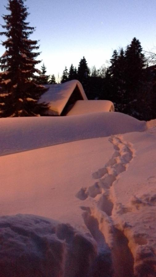 Chalet Camomille Les Gets Luaran gambar